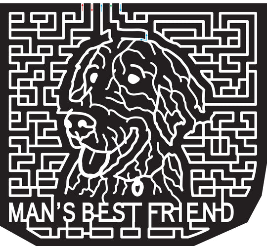 15_SC_Enoree 2015, South Carolina, Enoree, Dog, Mans Best Friend, Animal