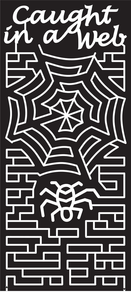 15_SC_sumter 2015, South Carolina, Sumter, Spider, Caught in a Web, spiderweb, paths, bug, insect