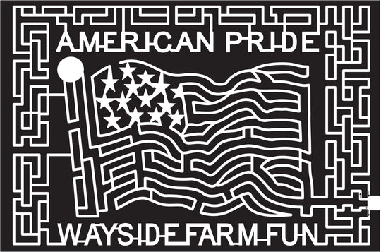 15_VA_Hamilton 2015, Virginia, Hamilton, American Pride, Wayside Farm Fun, American Flag, Patriot, Patriotism, stars and stripes, United States of America, USA, flag pole