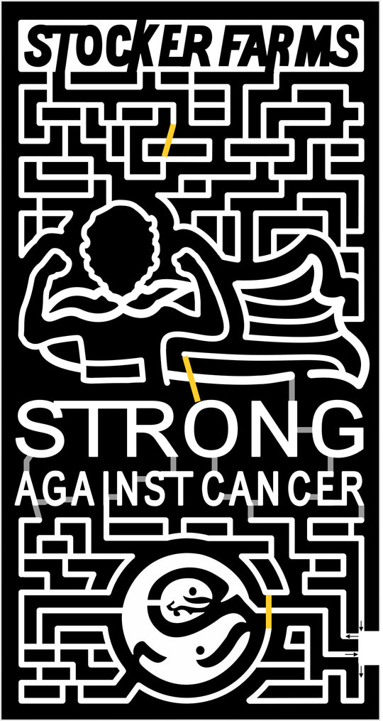 15_WA_Snohimish 2015, Washington, Snohomish, Stocker Farms, Strong Against Cancer Logo, Whale, Fish, Cape, Person, Seattle Childrens Hospital, kid