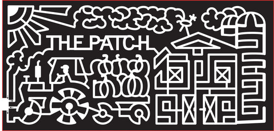 16_CA_Santa Rosa, 2016, California, patch, barn, silo, tractor, trailer, sun, clouds, chiicken, farm, pumpkin, pumpkins