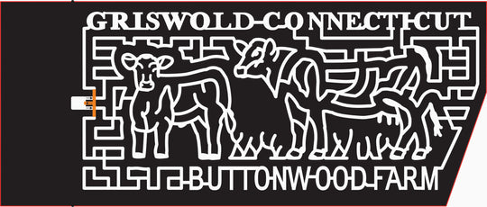 16_CT_Griswold, 2016, Connecticut, Griswold, cow, cows, calves, farm animals, grass