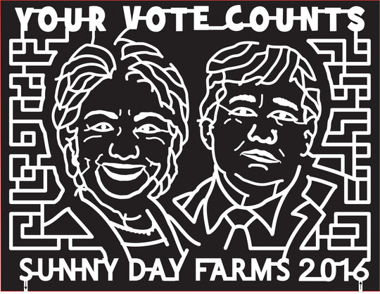 16_GA_Louisville, 2016, Georgia, trump, hillary, election, vote