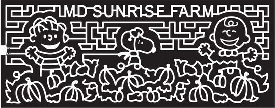 16_MD_Gambrills, 2016, Maryland, Gambrills, great pumpkin, charlie brown, snoopy, linus, pumpkin patch, pumpkin, leaf, vines