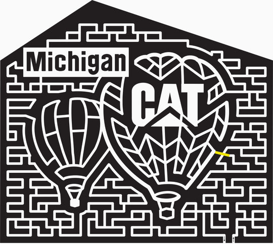 16_MI_Richland, 2016, Michigan, air ballon, cat, cat logo