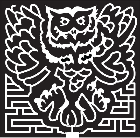 16_MN_Savage, 2016, Minnesota, bird, owl, animal