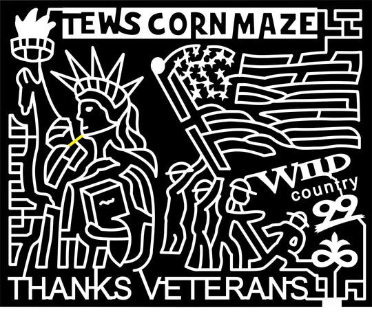 16_MN_Winona, 2016, Minnesota, patriotic, america, veterans, sstatue of liberty, liberty, flag, logo, pioneer logo