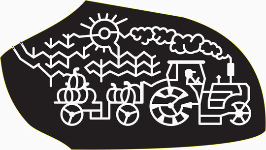 16_NC_Creedmoor, 2016, North Carolina, Creedmoor, sun, corn, cloud, pumpkin, tractor, farmer