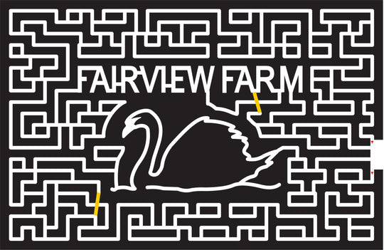 16_NY Bridgehampton, 2016, New York, swan, bird, animal