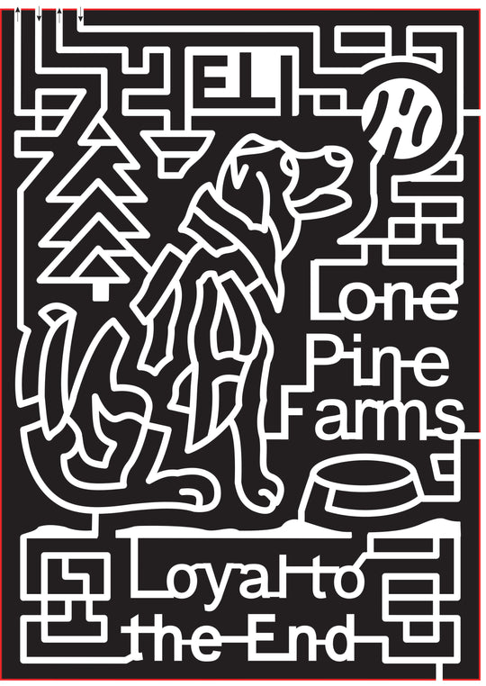 16_OR_Junction City, 2016, Oregon, dog, tree, ball, animal