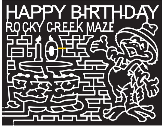 16_TX_Moulton, 2016, Texas,birthday cake, cake, candle, 10, duck, animal, bird