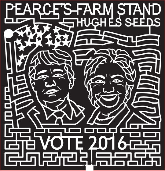 16_WI_Walworth, 2016, Wisconsin, trump, hillary, flag, vote