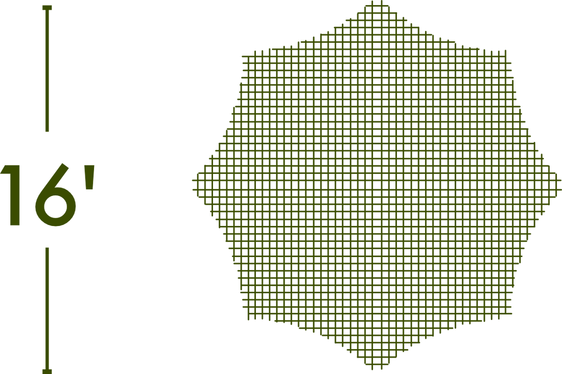 Spider Web - The MAiZE