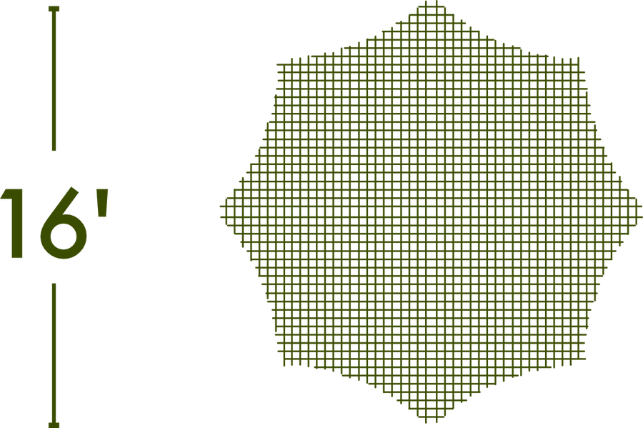 Spider Web - The MAiZE