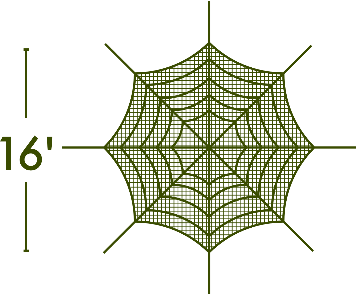 Spider Web - The MAiZE