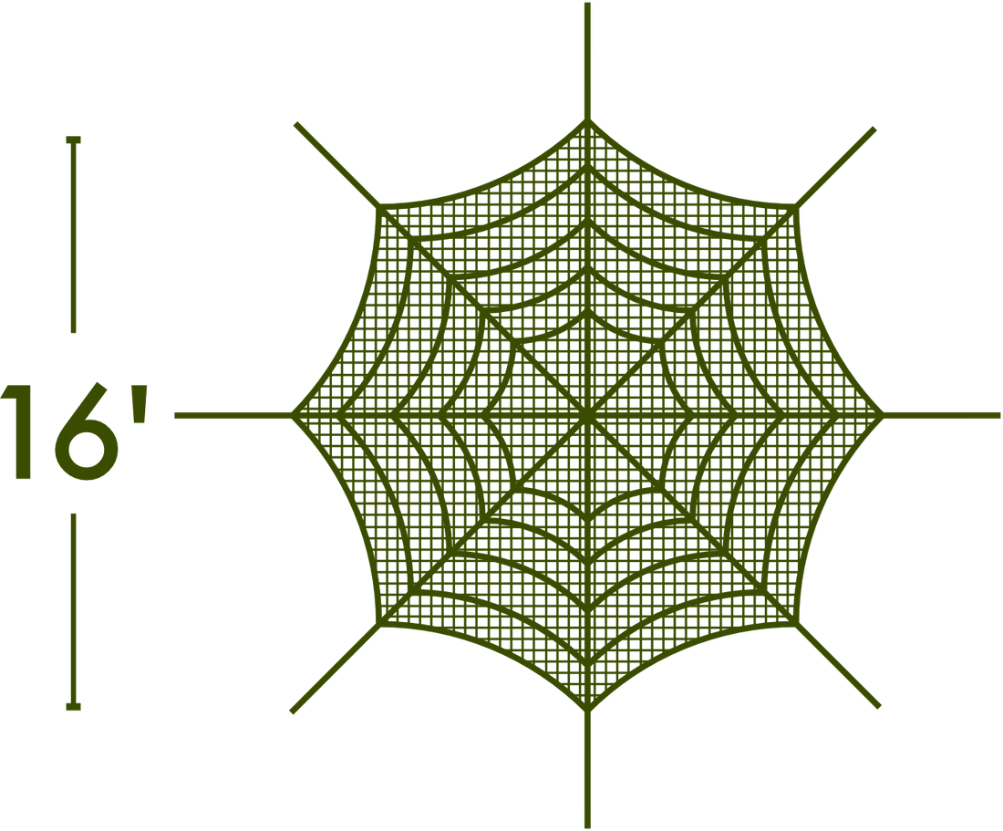 Spider Web - The MAiZE