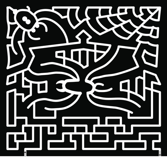 18_CA_Bakersfield spider spiderweb