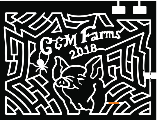 18_CA_Livermore charlottes web pig spider web