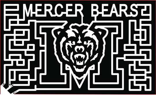 18_GA_FortValley mercer bears bear