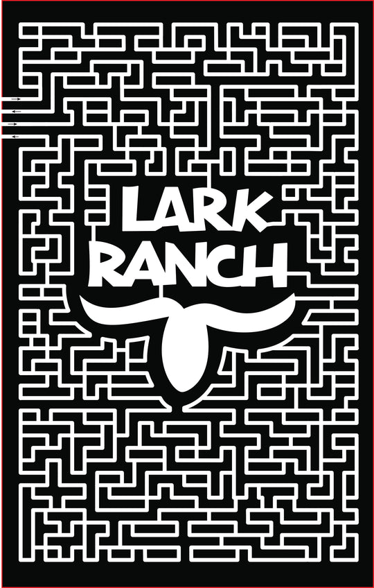 18_IN_Loogootee Lark Ranch steer head horns bull