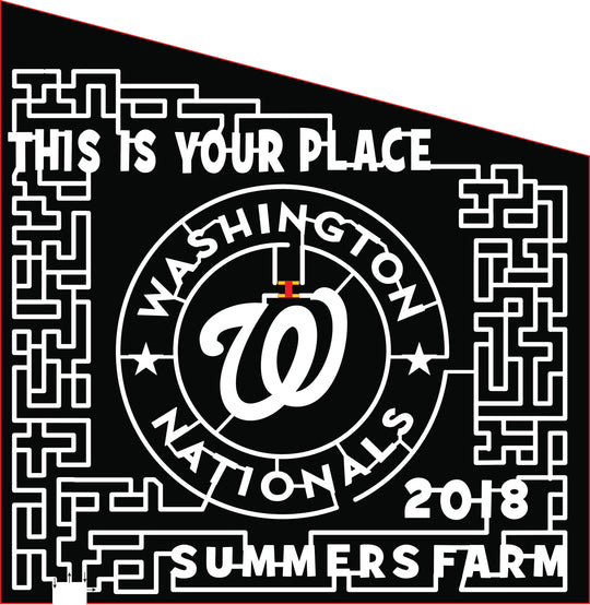18_MD_Fredrick this is your place summers farm 2018 washington nationals W star stars