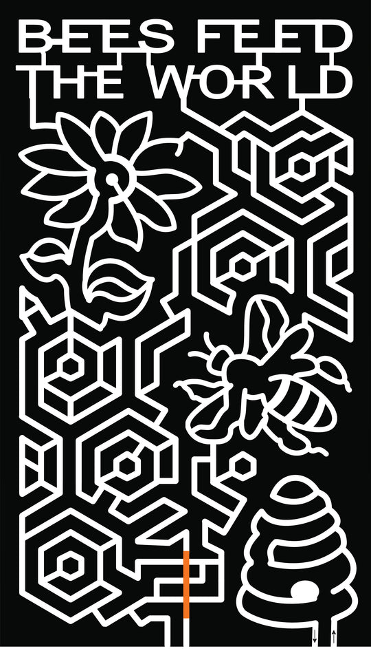 18_NV_Fallon bees feed the world sunflower bee hive bees honeycomb