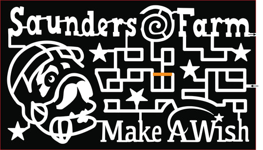 18_ONT_Munster saunders farm make a wish dog football helmet stars