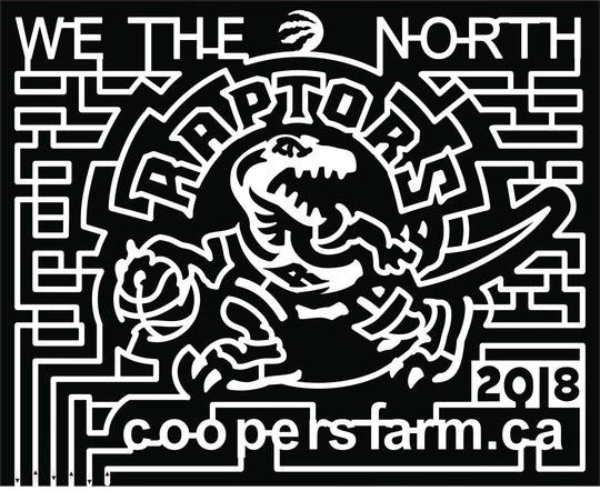 18_ONT_Zephyr we the north raptors coopers farm basketball 2018