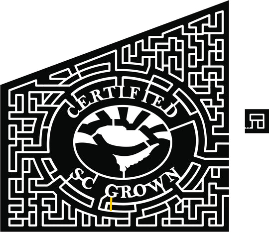 18_SC_Bennettsville certified SC grown sunshine