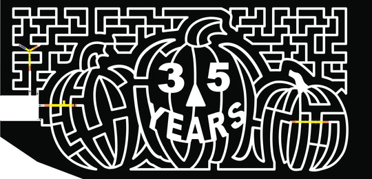 18_VA_Fredericskburg jack-o-lantern 35 years pumpkin