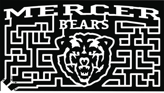 19_GA_FortValley mercer bears grizzly bear brown bear black bear.jpg