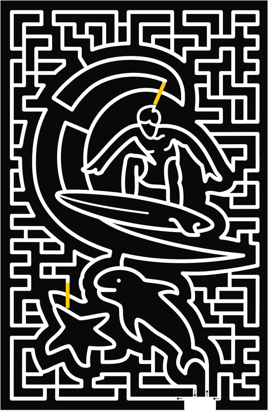 19_NY Bridgehampton surf beach surf board wave water dolphin starfish surfer.jpg