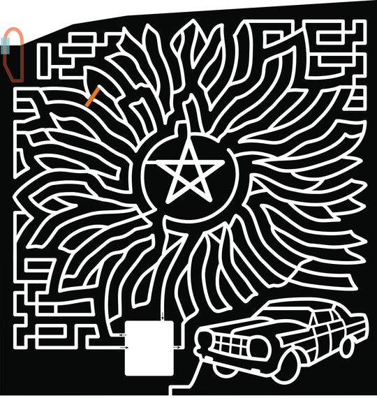 19_NY_Buffalo  sunflower supernatural star car.jpg