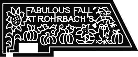 19_PA_Catawissa sunflower pumpkin vines pumpkin scarecrow.jpg