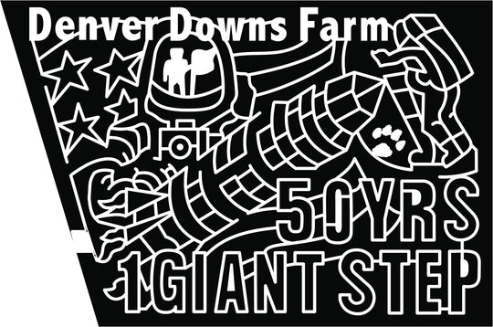 19_SC_Denverdowns_Pendleton denver downs farm moon landing 50 years space ship astranaut american flag space.jpg