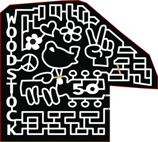 19_VA_Harrisonburg woodstock bird guitar peace sign hand heart flower.jpg