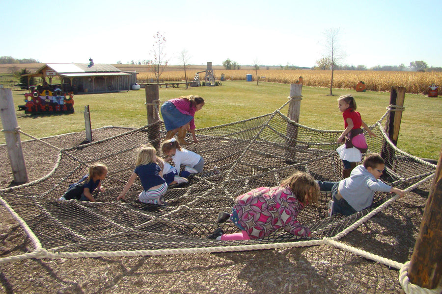 Spider Web - The MAiZE