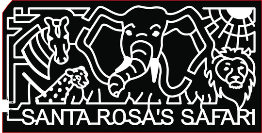 2017  17_CA_Santa Rosa, africa, elephant, lion, sun, zebra, leopard, animal, animals,safari, grass .jpg