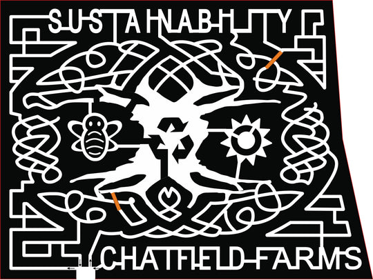 2017  17_CO_Chatfield, tree, bug, insect, butterfly, sun, recycle.jpg