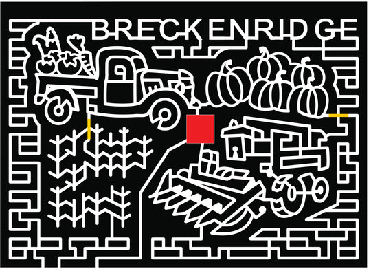 2017 17_MD_Vienna, farm truck, truck, carrots, beets, vegatables, corn, plants, farm, combine, pumpkin, pumpkins, chevy.jpg