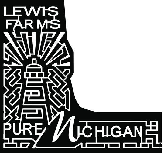 2017 17_MI_NewEra, light house, michigan.jpg