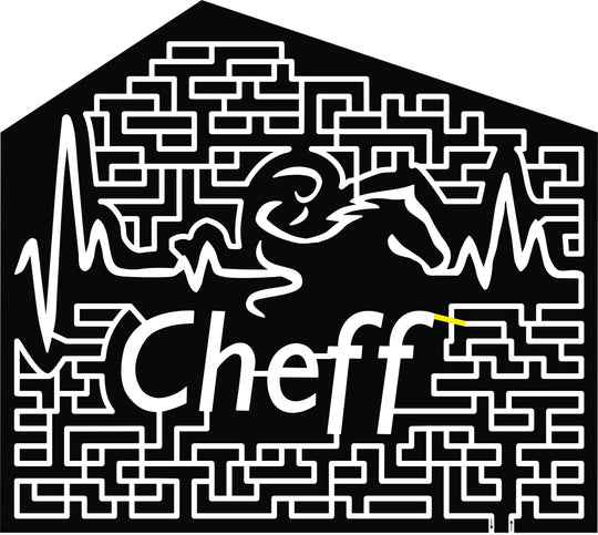 2017 17_MI_Richland, horse, cheff, heart beat.jpg