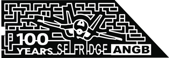 2017 17_MI_Washington Twp, plane, airplane, fighter plane, jet.jpg