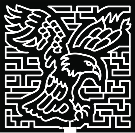 2017 17_MN_Savage, bird, eagle, animal.jpg