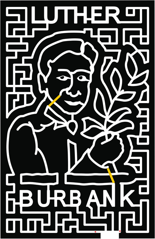 2017 17_NY Bridgehampton,face, lady, luther burbank, flower, plant, face.jpg