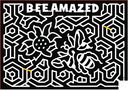 2017 17_TN_Memphis, bee, beehive, bug,  insect, honey, honey comb, flower.jpg