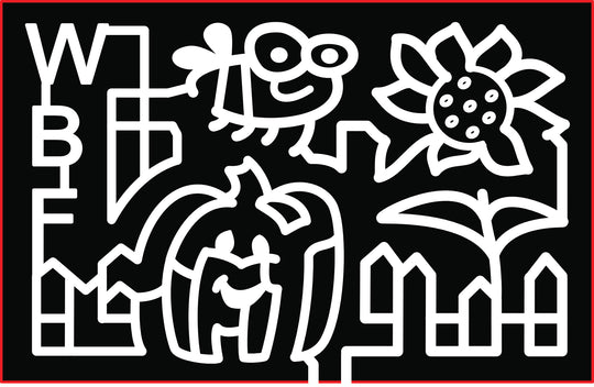 2017 17_TX_Sadler, pumpkin, fence, flower, bug, insect.jpg