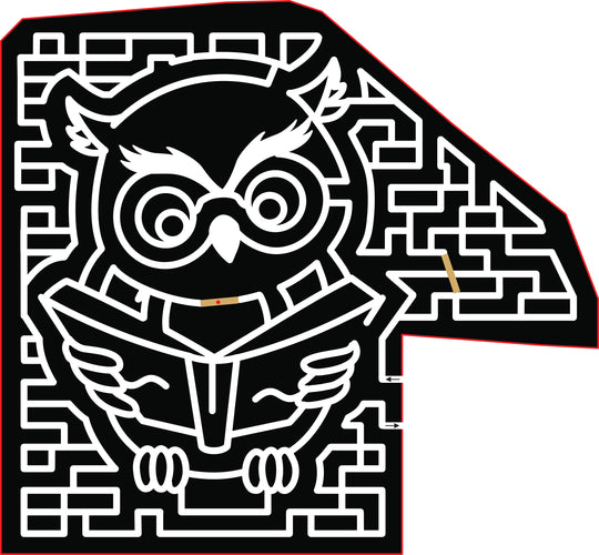 2017 17_VA_Harrisonburgh, owl, animal, book, reading.jpg