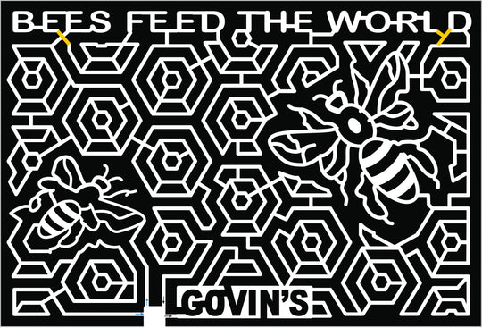 2017 17_WI_Menomonie, bee, insect, bug, honey comb, comb, honey, beehive.jpg