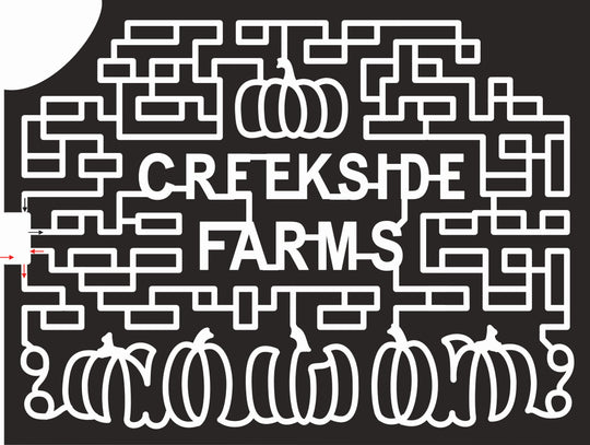 20_GA_Taylorsville, pumpkin, pumpkins.jpg